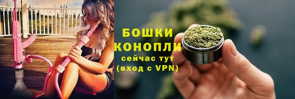 spice Арсеньев