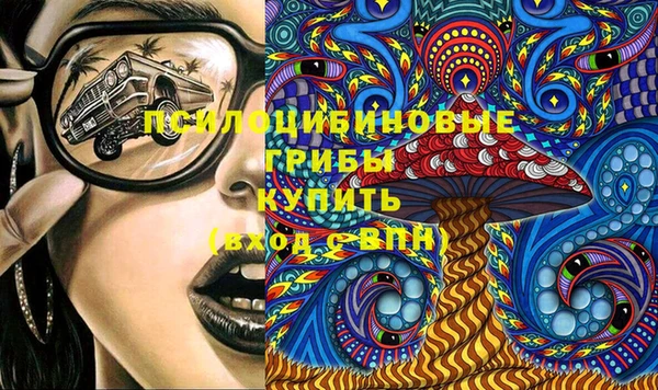 spice Арсеньев
