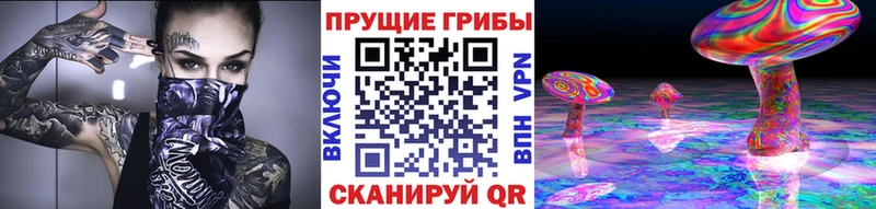 даркнет сайт  Курганинск  Псилоцибиновые грибы Cubensis 